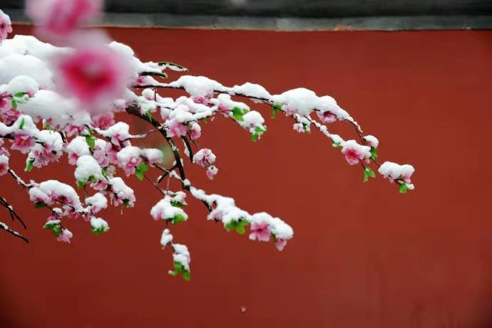 ̫ųwelcome(й)޹˾